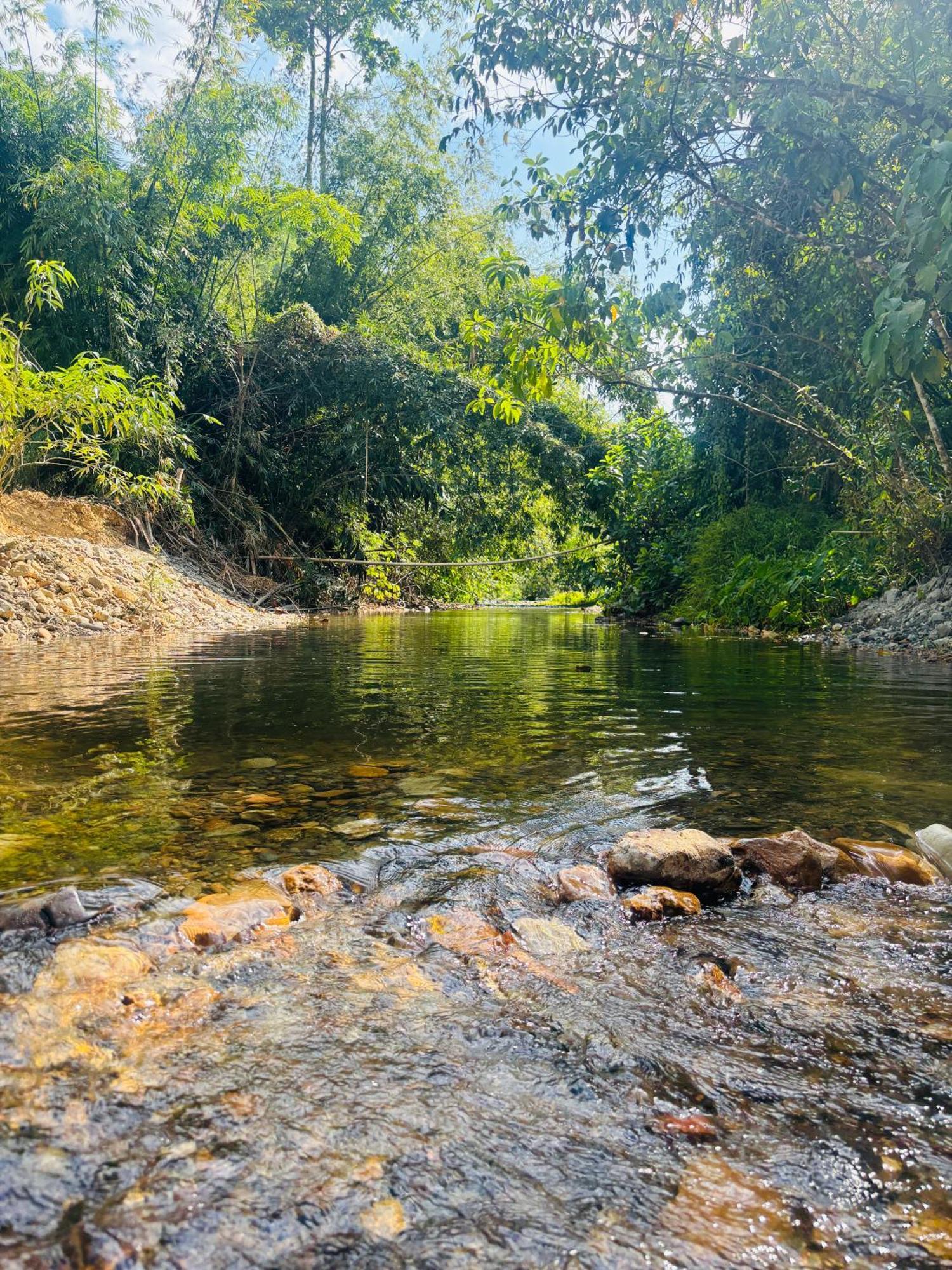 Camping Phutajoy Khaosok แคมป์ปิ้งภูตาจ้อยเขาศก Ban Thung Lang Tham エクステリア 写真